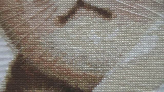 Маленькие записки 37-дача,вручение кота,Коринна смотреть онлайн