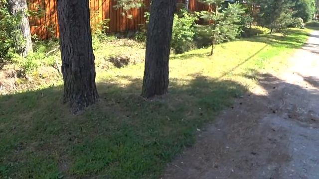 Маклер | Как продать участок ДОРОЖЕ | Риэлтор СПб | Секреты о которых НУЖНО знать смотреть онлайн