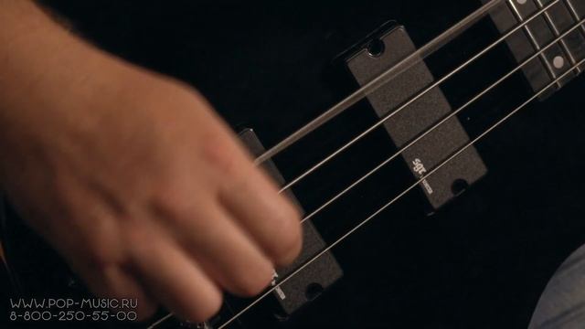 Ampeg Classic Bass Preamp смотреть онлайн