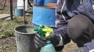 Обработка весной Клубники Медным Купоросом