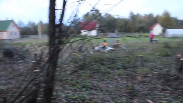 #7 Купили Заброшенный Дачный Участок / Посадили виноград / Спиливание деревьев / Дача с нуля смотреть онлайн