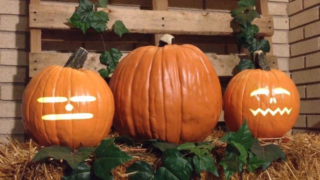 This is Halloween - Singing Pumpkins Animation Effect смотреть онлайн