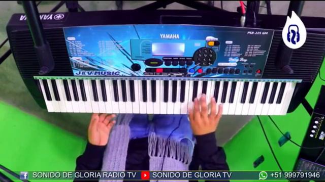 COMO PROGRAMAR LA GUITARRA PARA "HUAYNO HUANCAVELICANO" EN YAMAHA PSR 225-270 Y 340- TUTOS DANIJOSH смотреть онлайн