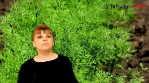 УКРОП. Тонкости выращивания укропа. Как сеять укроп в открытый грунт.