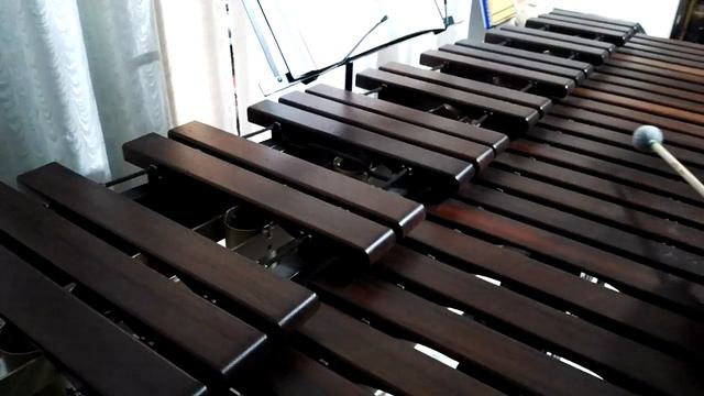 Inni di lode N°494: La vittoria è nostra Marimba Cover смотреть онлайн