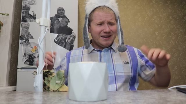 Три Поколения, Губарева ПРО ДОНАТЫ, ПРОБЛЕМЫ И БЕЗЗАБОТНУЮ ЖИЗНЬ, Обзор влога.