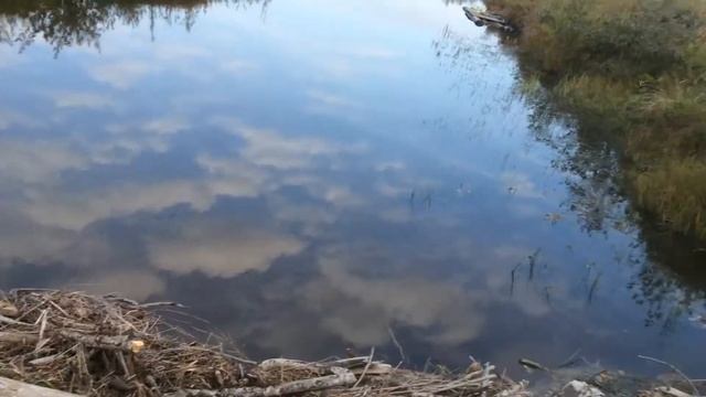 Мост через р. Озерница в Кировской области (слободской район) смотреть онлайн