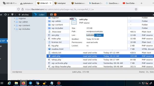 Cracked shells available for sell. private shell. how does a shell looks like? how to use shell? смотреть онлайн