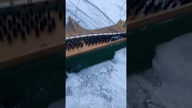 Медведь- Шатун или кабан? сколько железа в пианино? смотреть онлайн