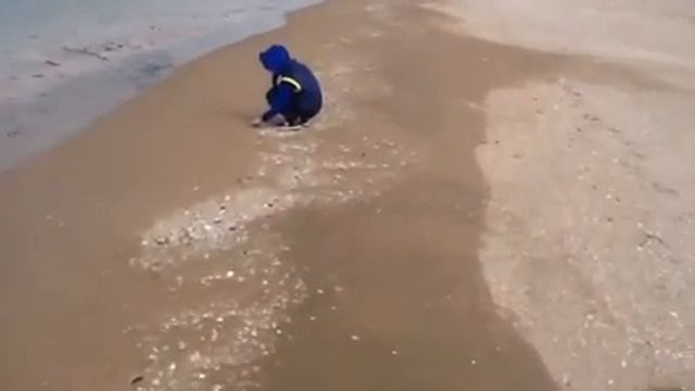 Азовское море 22марта смотреть онлайн