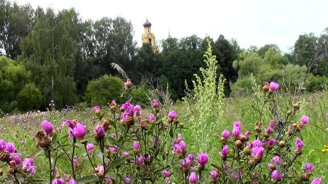 Маленький, чудный город Киржач. смотреть онлайн