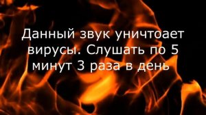 Шум от вирусов