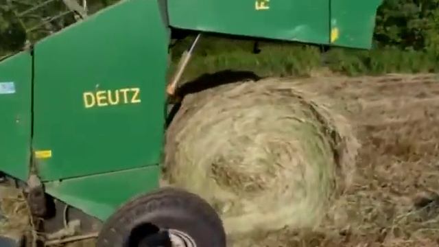 Сенокос 2021 г. смотреть онлайн