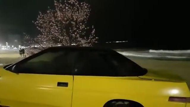 4 SEASONS. Нячанг. Видео Надежды Зыряновой из Красноярска. смотреть онлайн