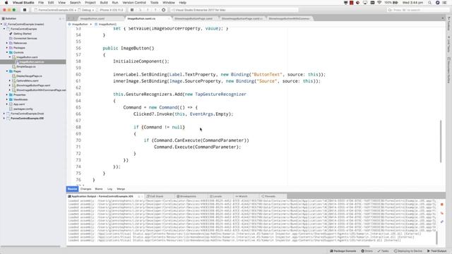 Creating Custom Controls with Xamarin Forms - Glenn Stephens - Xamarin University Lightning Lecture смотреть онлайн