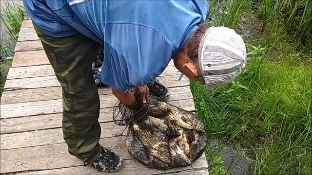 21.07.2018, РЫБАЛКА В ВЫХОДНОЙ, ВЕРХНИЙ ПРУД смотреть онлайн