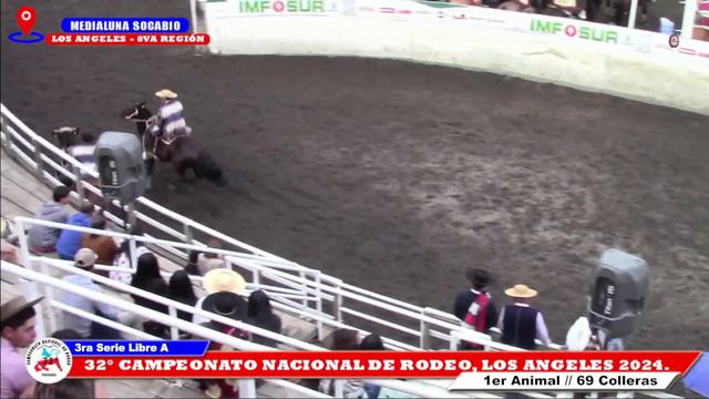 3RA SERIE LIBRE A, 32º CAMPEONATO NACIONAL DE RODEO EN MEDIALUNA SOCABIO, LOS ANGELES 2024. смотреть онлайн