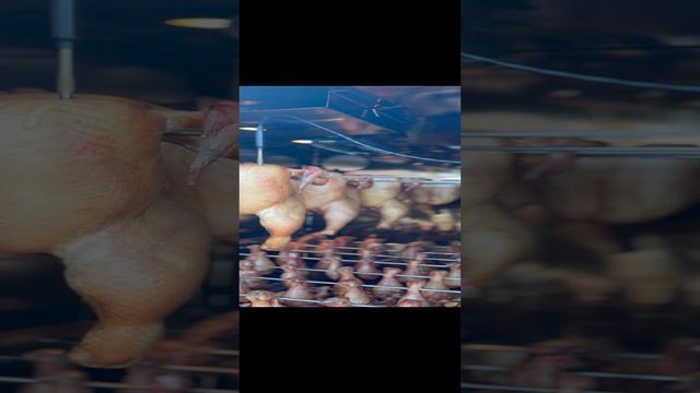 Коптильня 24