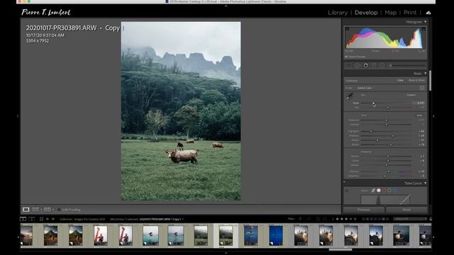 La Technique Secrete de Balance Des Blancs Pour Des Photos Réussies! смотреть онлайн