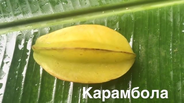 Экзотические фрукты смотреть онлайн