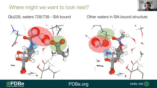 A guide to analysing binding sites in protein structures смотреть онлайн