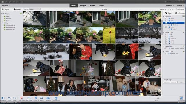 Photoshop Elements 2020 Tutorial Creating New Tag Categories Adobe Training смотреть онлайн