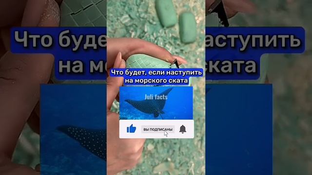 Если увидишь это дерево, беги! смотреть онлайн