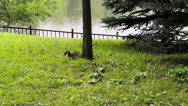 VLOG: лето 2022 ♡ | улетела одна в другой город, выпускной, Питер| смотреть онлайн