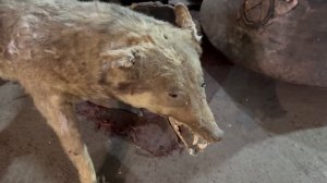 ЯНГИОБАД - главный блошиный рынок Узбекистана. Что можно купить? Товары, цены. Советский винтаж