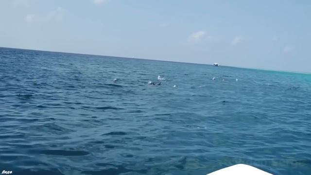 Шикарная песня! Я ПОСТРОЮ РАЙ - СЕРГЕЙ НОСКО New 2019 смотреть онлайн