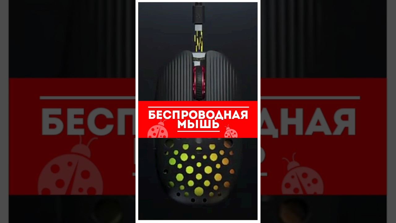 Наши товары на WB https://wildberries.ru/catalog/153950199/detail.aspx #тренд2024 #wildberries смотреть онлайн