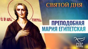 ПРЕПОДОБНАЯ МАРИЯ ЕГИПЕТСКАЯ. СВЯТОЙ ДНЯ