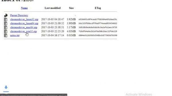 how to install chromedriver for selenium in windows | Python Programming Language