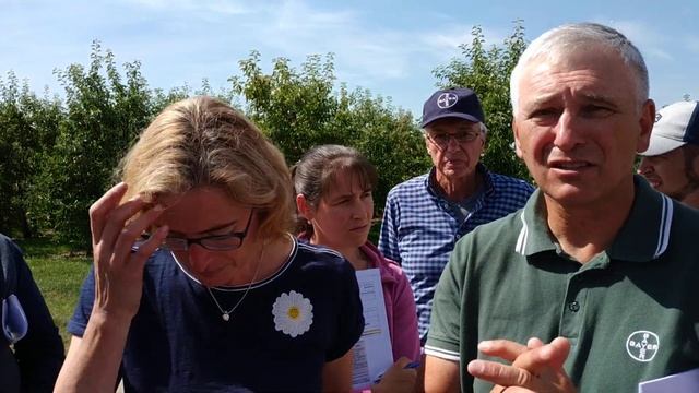 Современное садоводство Бельгии. Интенсивные сады смотреть онлайн