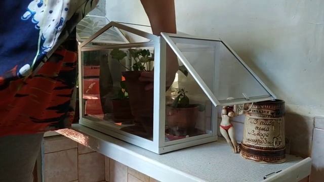 Выращиваем герань. Черенкование и уход. Ландшафтный дизайн с геранью. смотреть онлайн