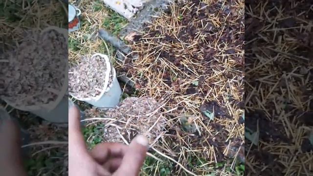 Создаем плодородную землю! смотреть онлайн