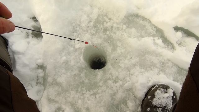 Что клюёт без прикормки? Рыбалка 17 января 2022 на реке. смотреть онлайн