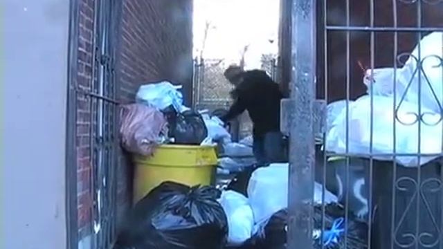 Lumberjacked! Part 2