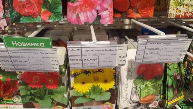 СЕМЕНА КОМНАТНЫХ ЦВЕТОВ???магазин ХИТ СЕЗОНА? смотреть онлайн