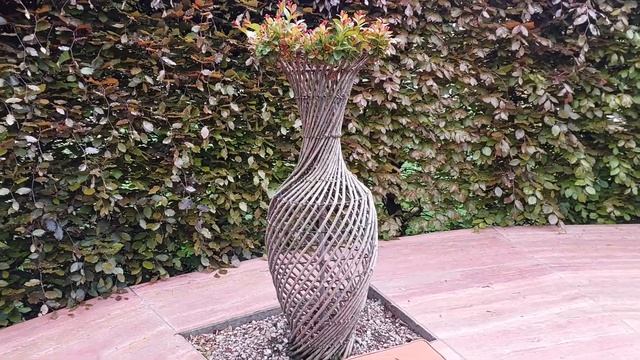 Буковые комнаты в Парке Галицкого смотреть онлайн