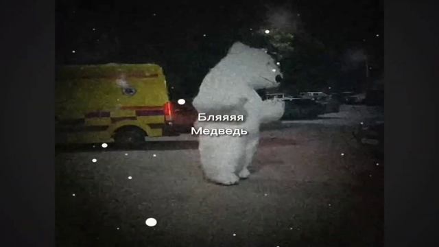 Blяяя медведь ? смотреть онлайн