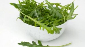 Выращивание рукколы в открытом грунте как бизнес идея
