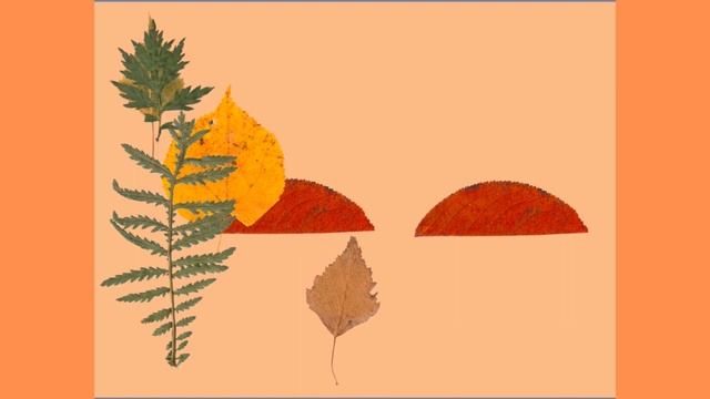 Аппликация из засушенных растений "Осенний пейзаж" #аппликации смотреть онлайн
