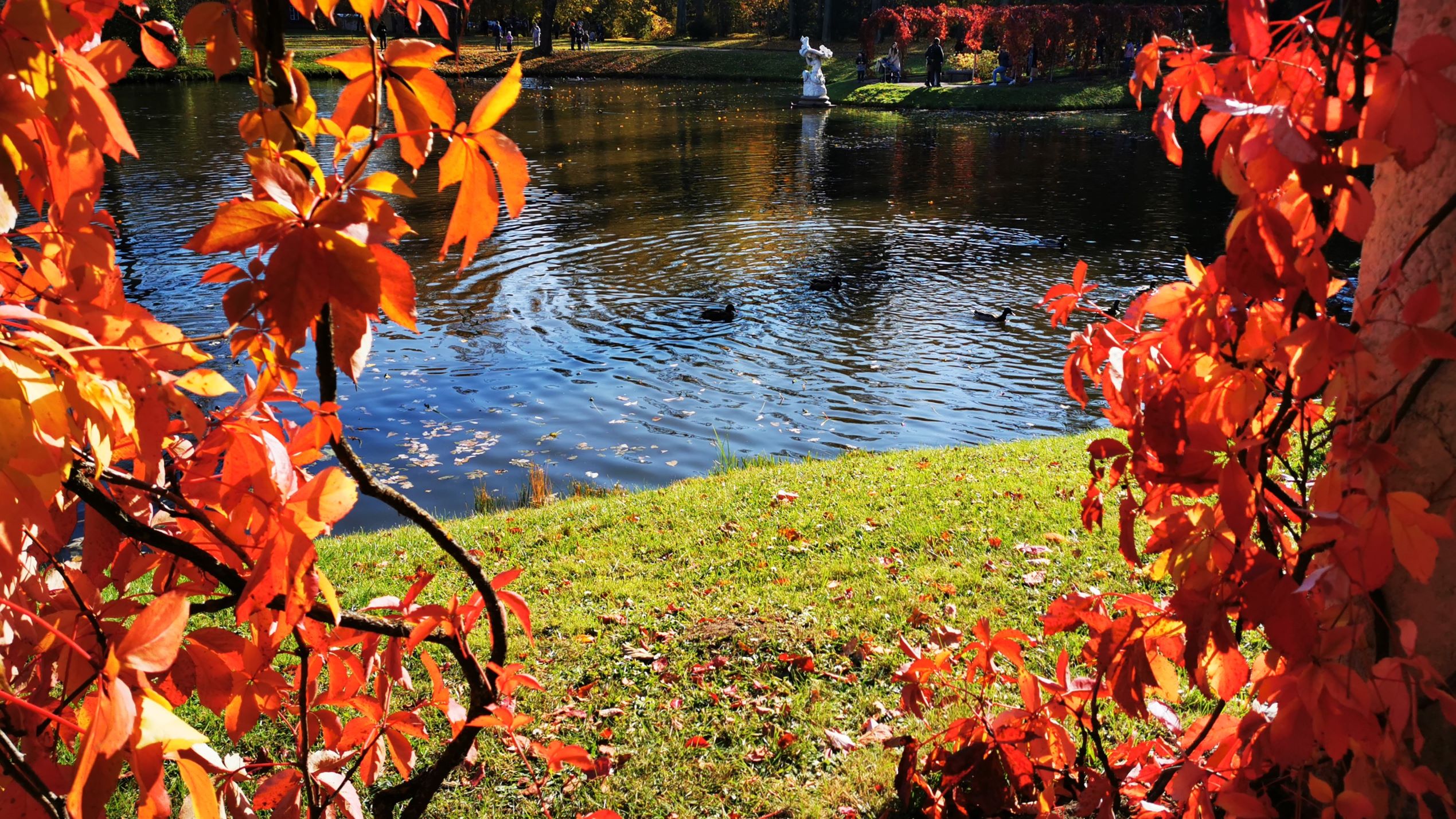 Ускользающая красота осени. Прогулка в историческом парке Ораниенбаум. Санкт-Петербург смотреть онлайн
