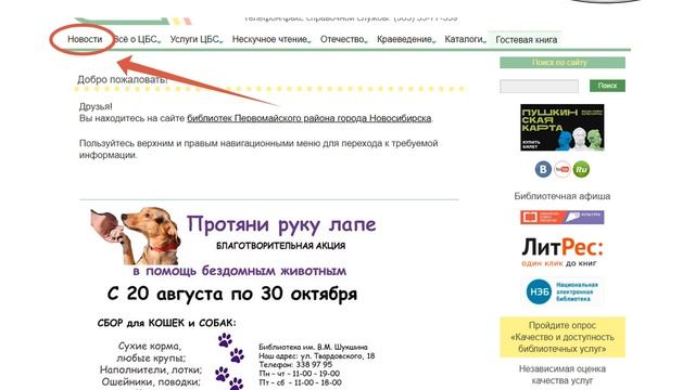 Библиотечный урок "Мы работаем для вас" смотреть онлайн