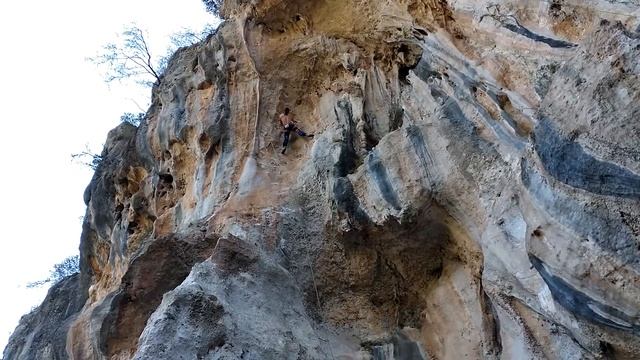 Anaconda 7c Kostya Pavlichenko смотреть онлайн