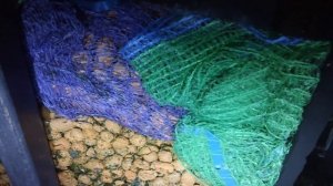 Лучший фильтр для аквариума своими руками! Обзор сампа и наполнителей. Как устроен самп.