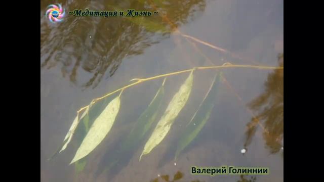 ИнетПродюс:Медитация "Цветок тишины" 19.12.2014 Валерий Галиннии смотреть онлайн