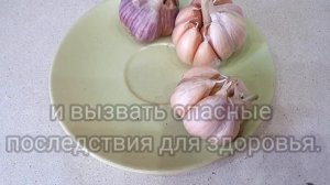 Главное отличие Озимого чеснока от Ярового. 6соток.