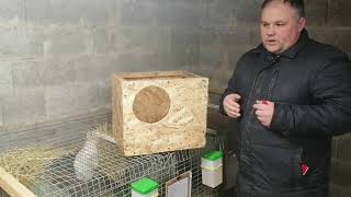 Что такое маточник и для чего он нужен. Виды и размеры маточников. смотреть онлайн